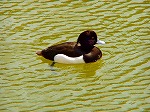 20070323 03.jpg